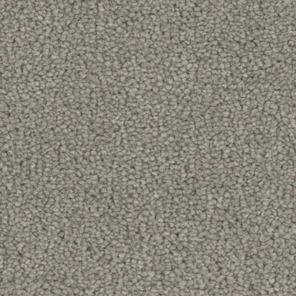 Phenix Carpet Rave Reviews 15" Carpet Remnant in Prestige , , large