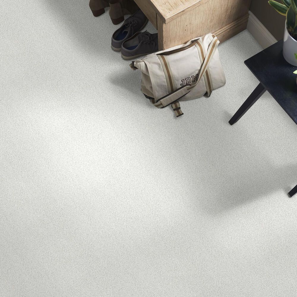 Shaw Find Your Comfort TT II Carpet in Coming Home, , large