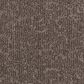 Karastan Eminent Elements Carpet in Downing, , large