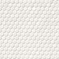 MS International White Glossy 12" x 12" Penny Round Mosaic Tile, , large