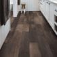 Shaw Symbiotic 12 Sorrel 6" x 48" Luxury Vinyl Tile, , large
