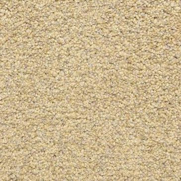 Dixie Home Carefree Carpet in Sand Storm, , large