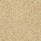 Dixie Home Carefree Carpet in Sand Storm, , large