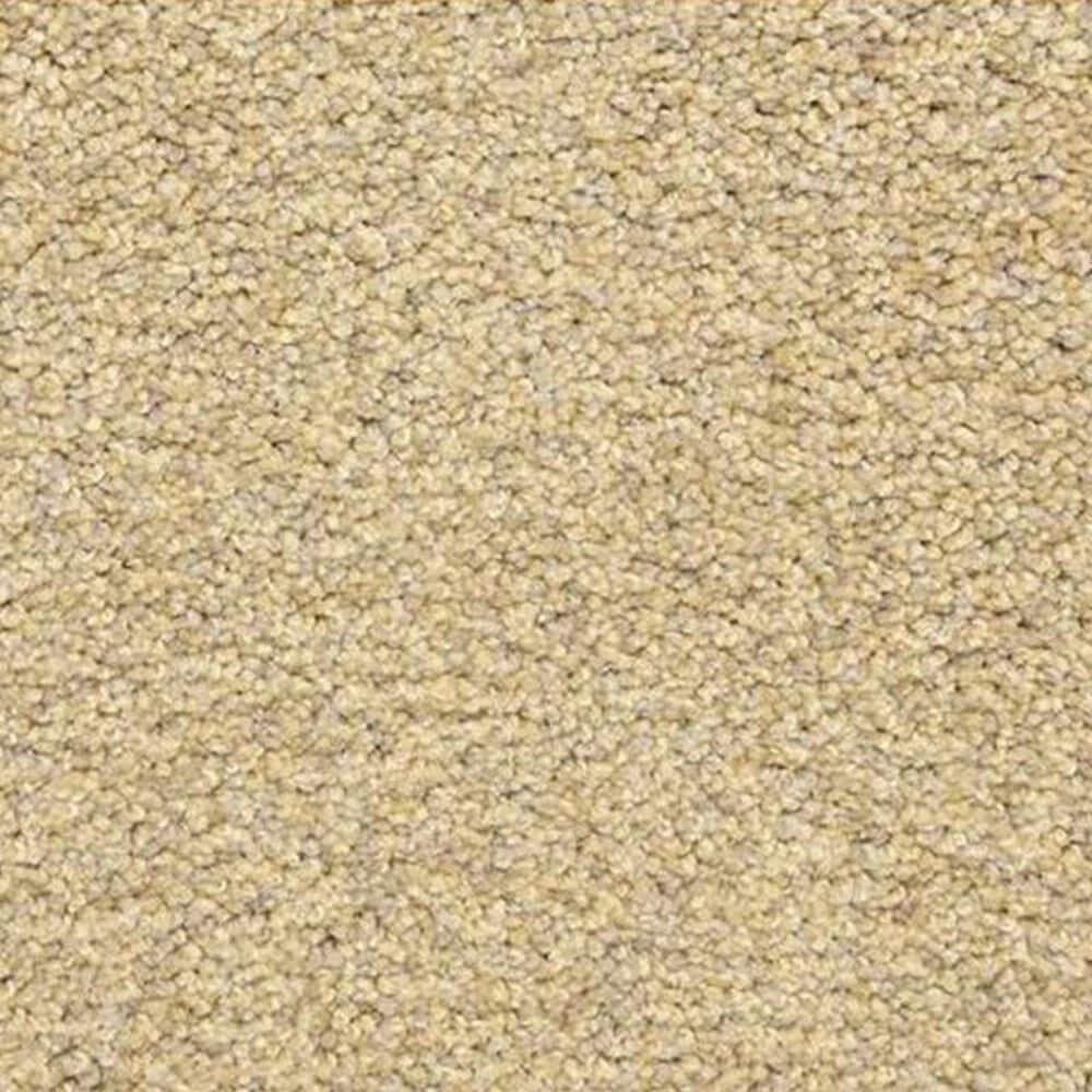 Dixie Home Carefree Carpet in Sand Storm, , large