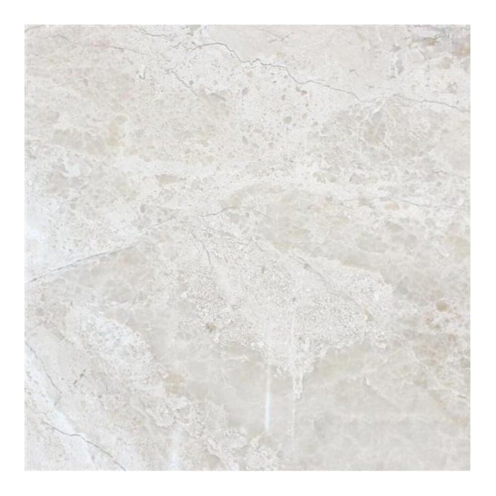 MS International New Diane Reale 18" x 18" Polished Natural Stone Tile, , large