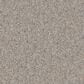 Dixie Home Devotion Carpet in Weathered, , large