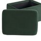 Lifestyle Solutions Kona Small Storage Ottoman in Green, , large