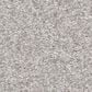 Shaw You Got This II Carpet in Whitecap, , large