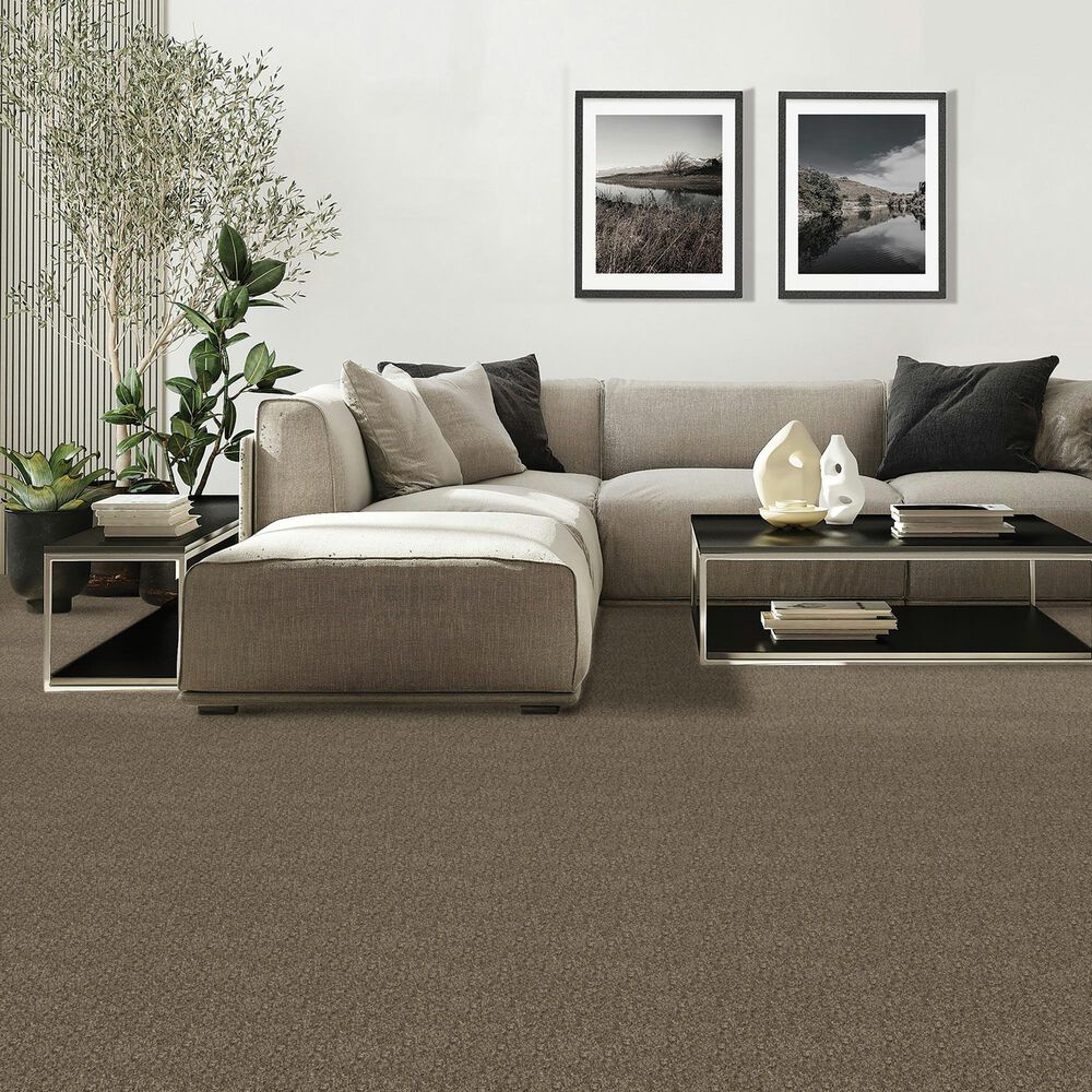Mohawk Diffurent Choice II Carpet in Legend, , large
