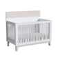 Eastern Shore Rowan 4-In-1 Convertible Crib in Ash Linen White, , large