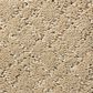 Anderson Tuftex Recital Carpet in Oak Ridge, , large
