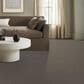 Anderson Tuftex Bossa Nova Carpet in Arrowhead, , large