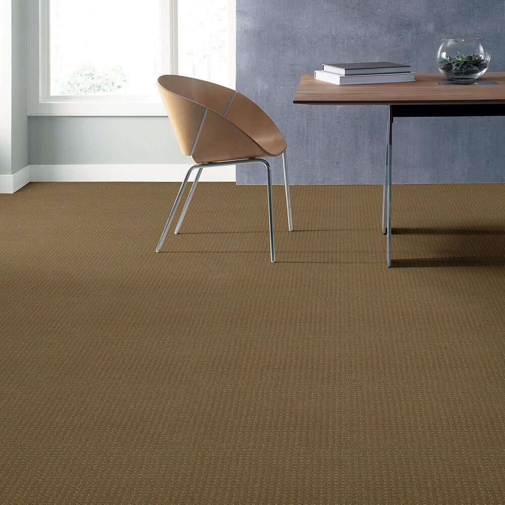 Shaw Perpetual Move Carpet in Grounded, , large