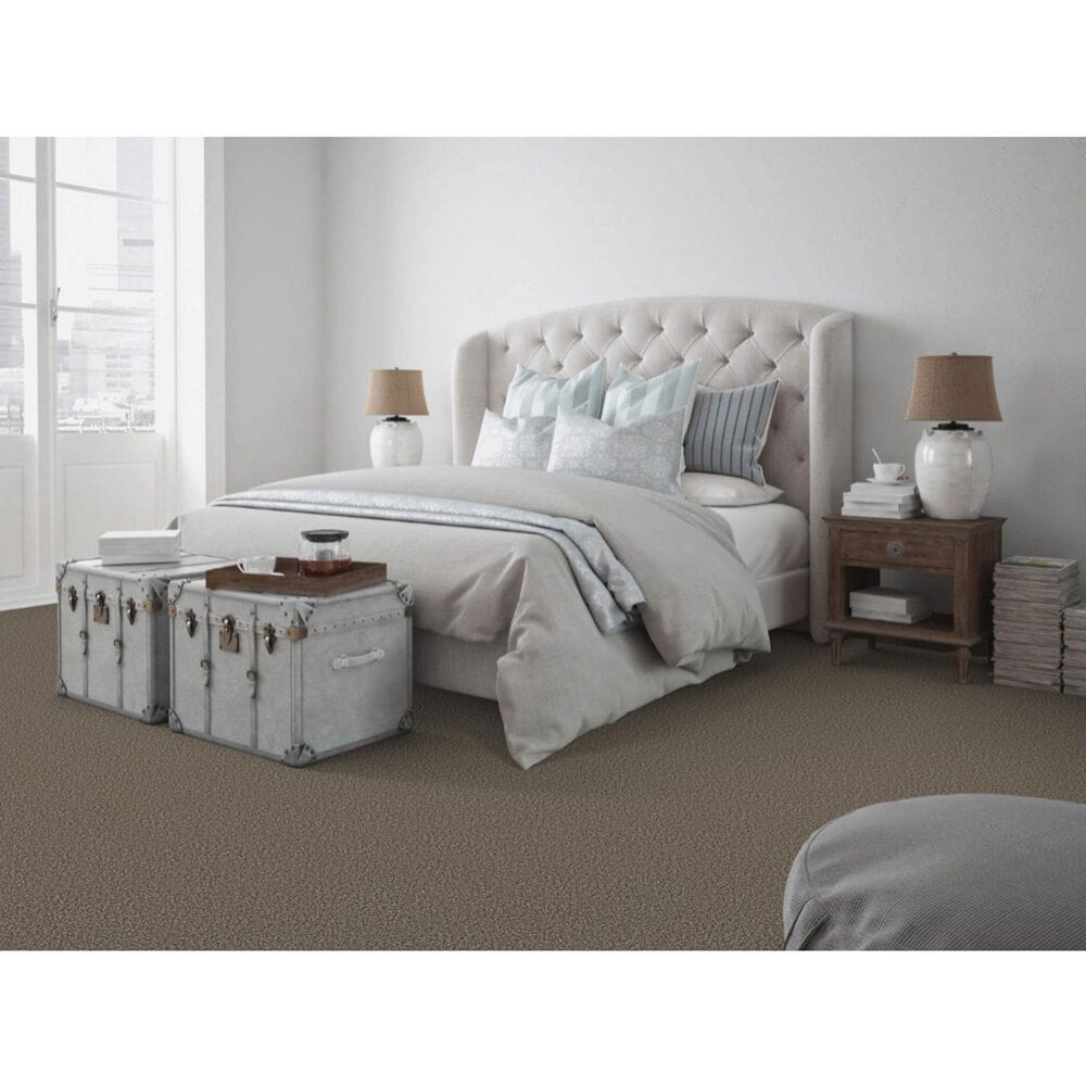 Dixie Home Main Force Carpet in Boulder, , large