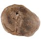 Blue Sun Designs Arik Coffee Table in Light Natural, , large