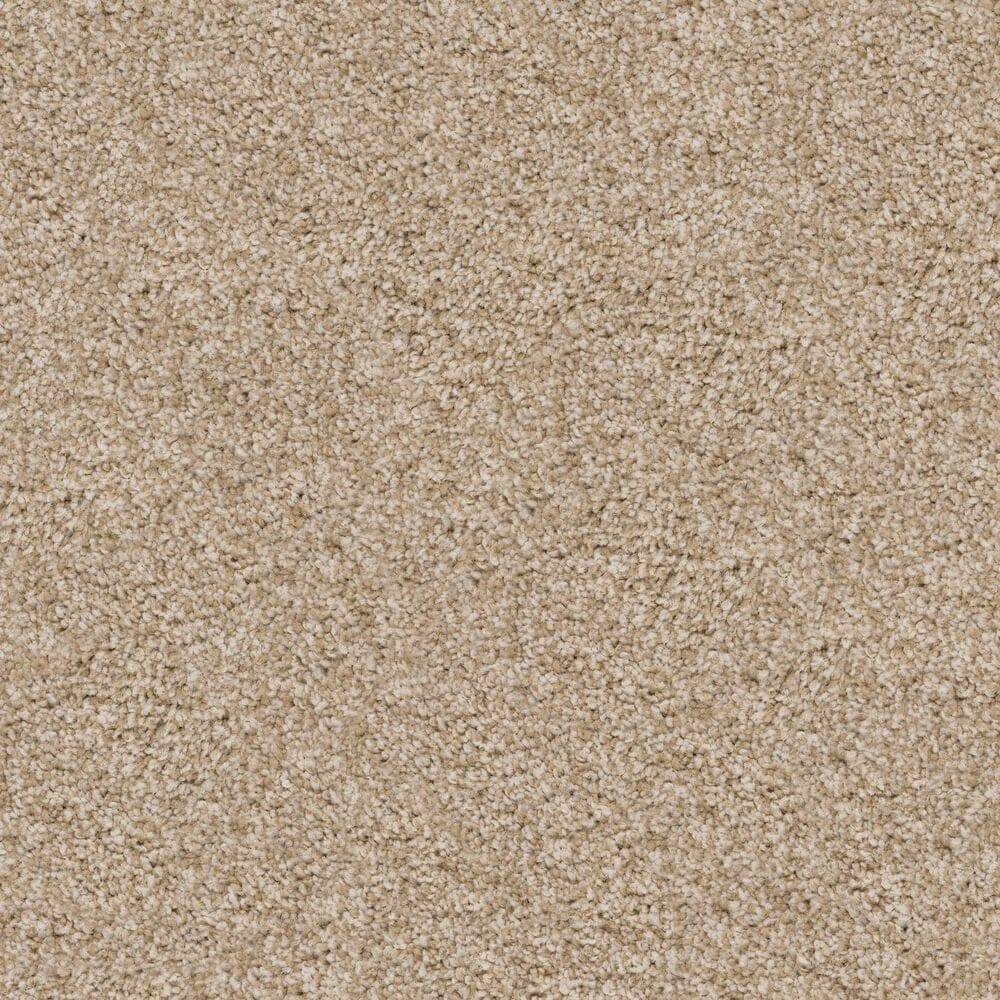 Dixie Home Guard Carpet in Bulldog, , large
