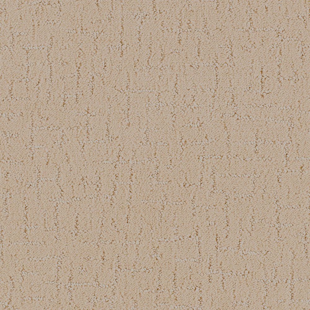 Dixie Home DX301 Carpet in Prairie, , large