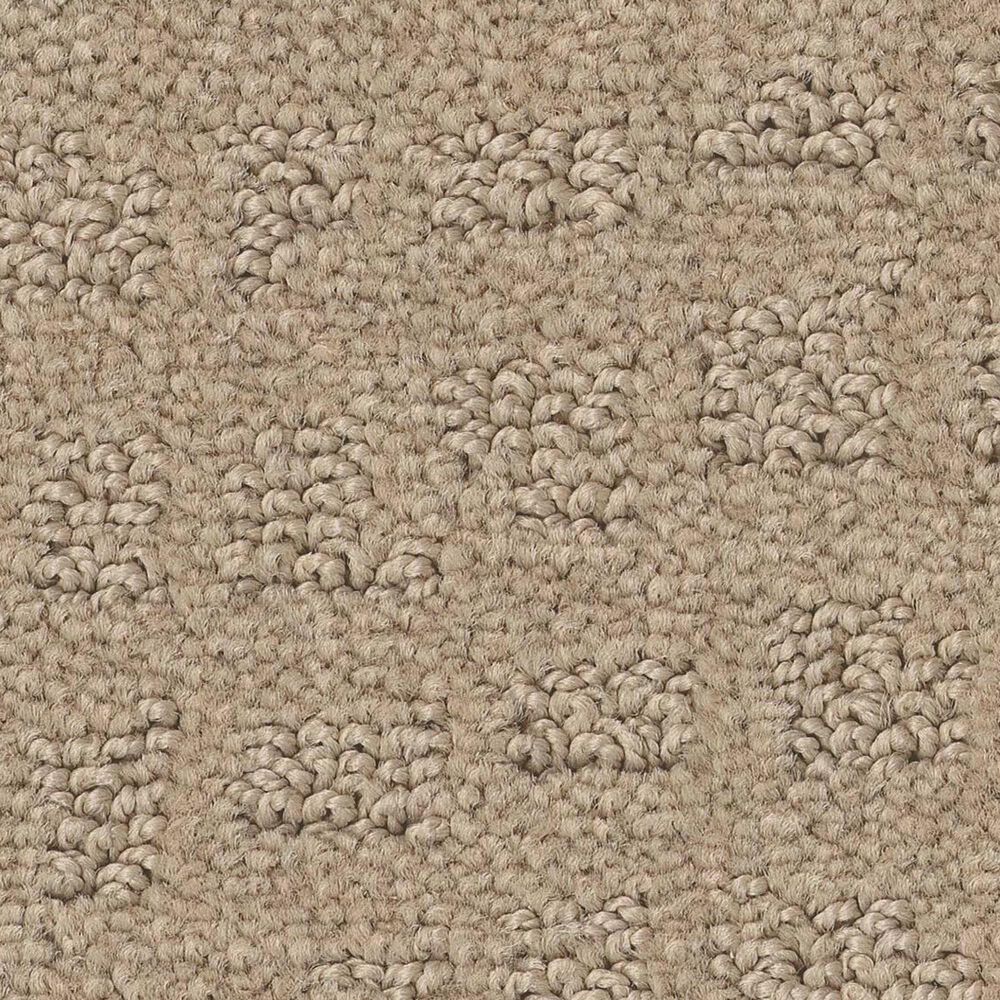 Anderson Tuftex West Haven Carpet in Terrazo, , large