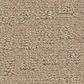 Anderson Tuftex West Haven Carpet in Terrazo, , large