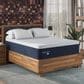 Dreamfinity by Sealy Hybrid 3 Firm Queen Mattress, , large