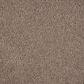 Karastan Graceful Invitation Carpet in Urbane, , large