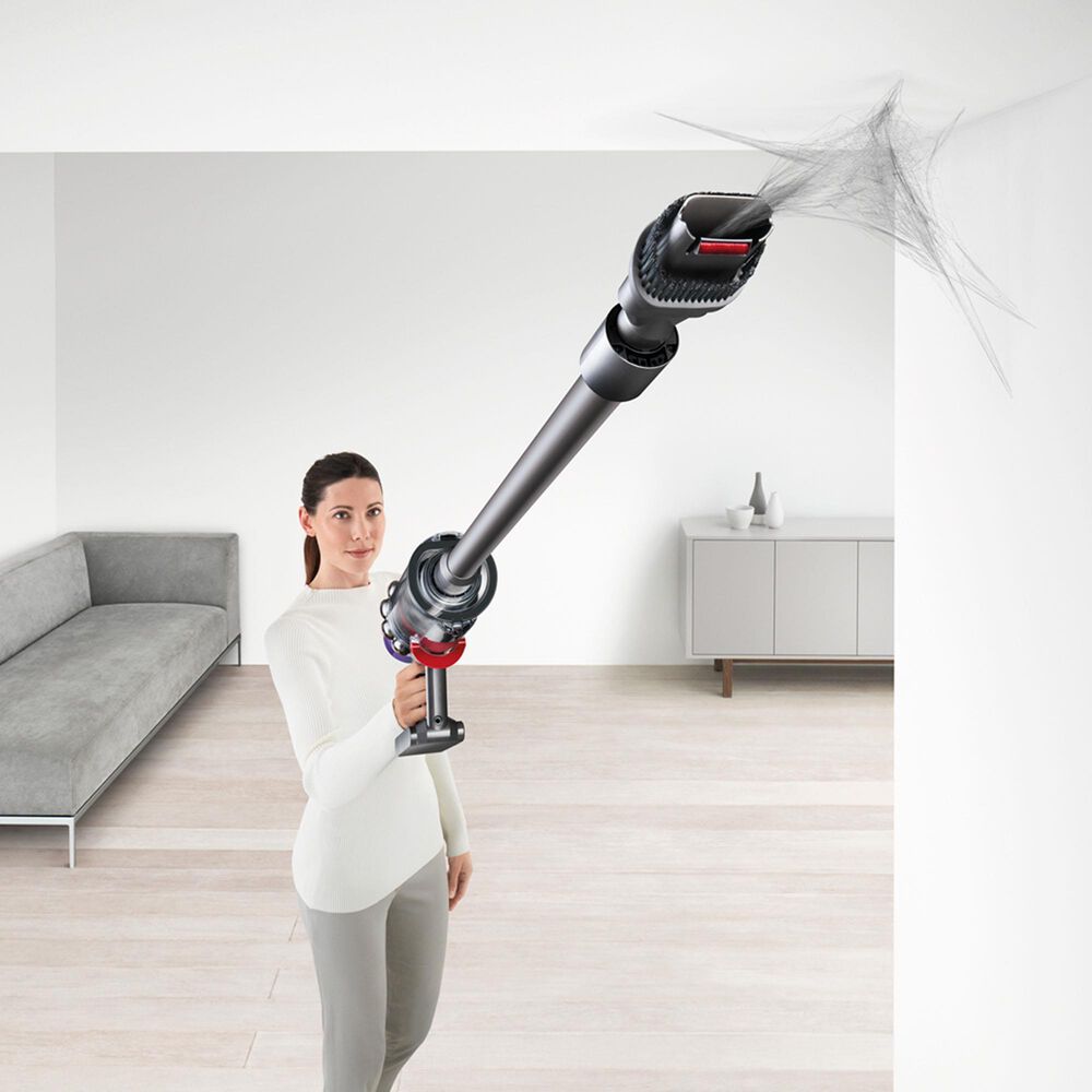 jury biograf vejr Dyson Cyclone V10 Animal Cordless Stick Vacuum in Iron | NFM