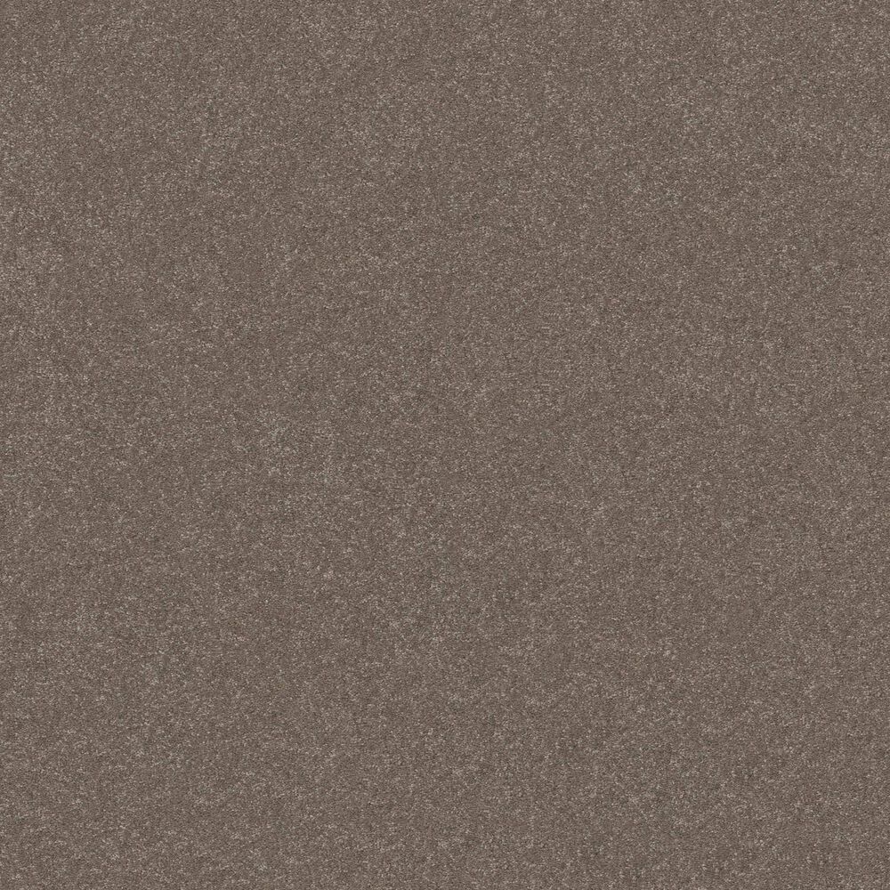 Shaw Hard At Play II Carpet in Cobblestone, , large