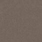 Shaw Hard At Play II Carpet in Cobblestone, , large