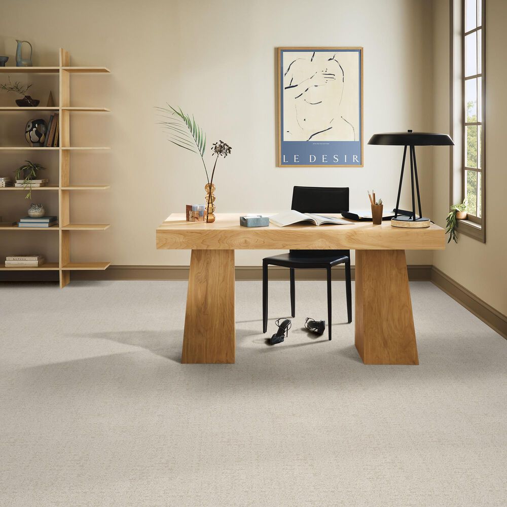 Anderson Tuftex Lumen Carpet in Halide, , large