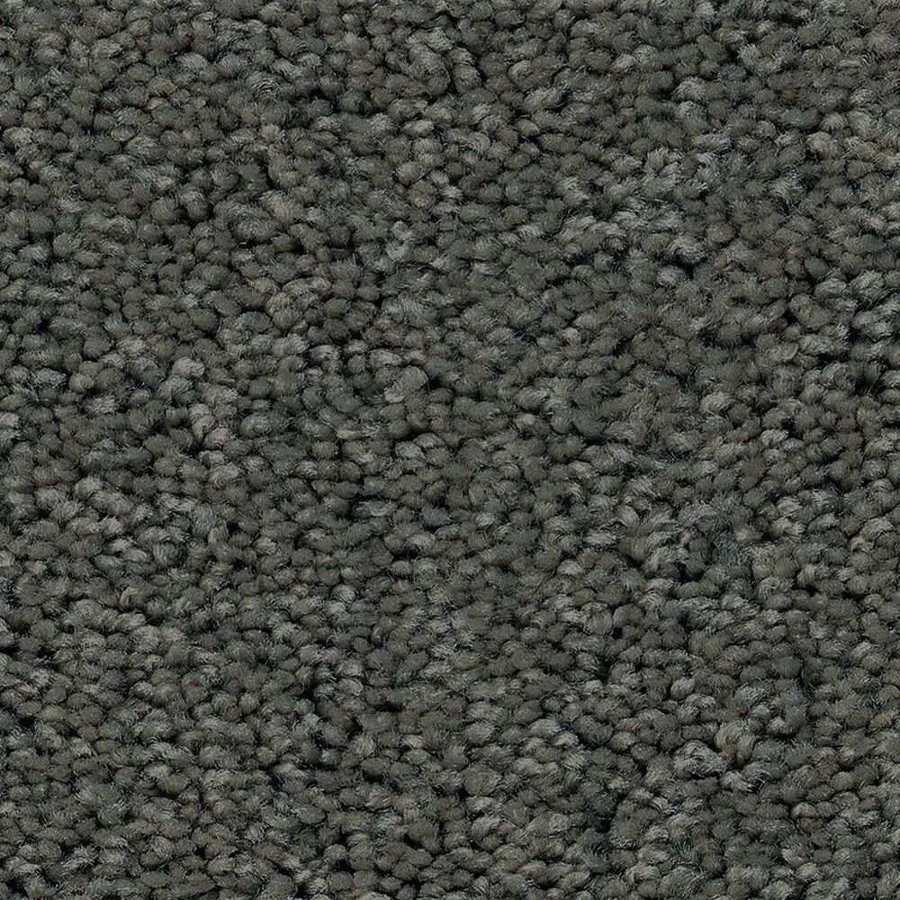 Shaw Las Cruces Carpet in Fig Leaf, , large