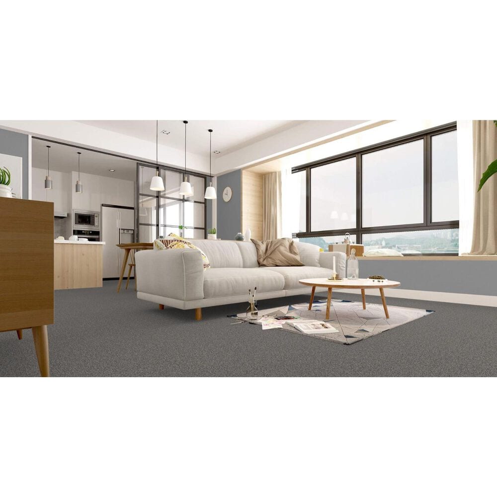 Revolution Mills Rainier Carpet in Gondola, , large
