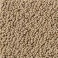 Shaw Detailed Statement Loop Carpet in Honey Pot, , large