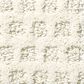 Anderson Tuftex Narrow Creek Carpet in Snowfall, , large