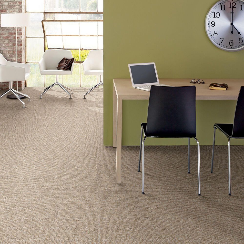 Anderson Tuftex Paw-Tay Carpet in Old Country, , large