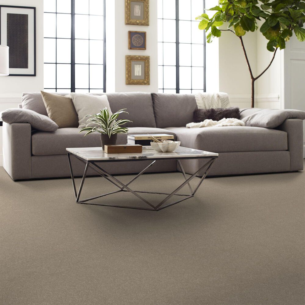 Shaw Hard At Play I Carpet in Subtle Clay, , large