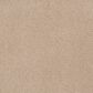 Karastan Tropical Vision Carpet in Livingston, , large