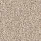 Shaw Imaginable III Carpet in Dunes, , large