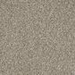 Karastan Stunning Balance Carpet in Bali, , large