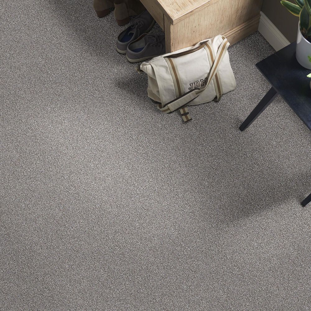 Shaw Just Right II Carpet in Cedar Ridge, , large