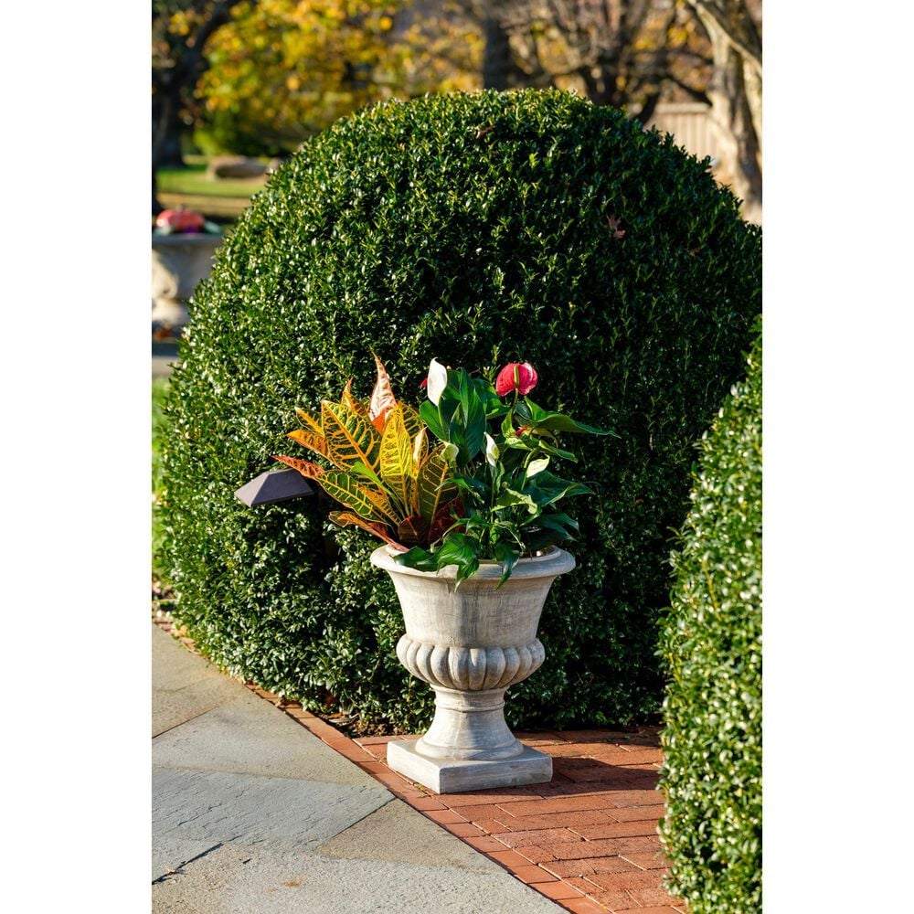 Alfresco Home Windsor Patio Urn in Off White, , large