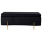 Lilola Home Emma Storage Bench in Black Velvet, , large