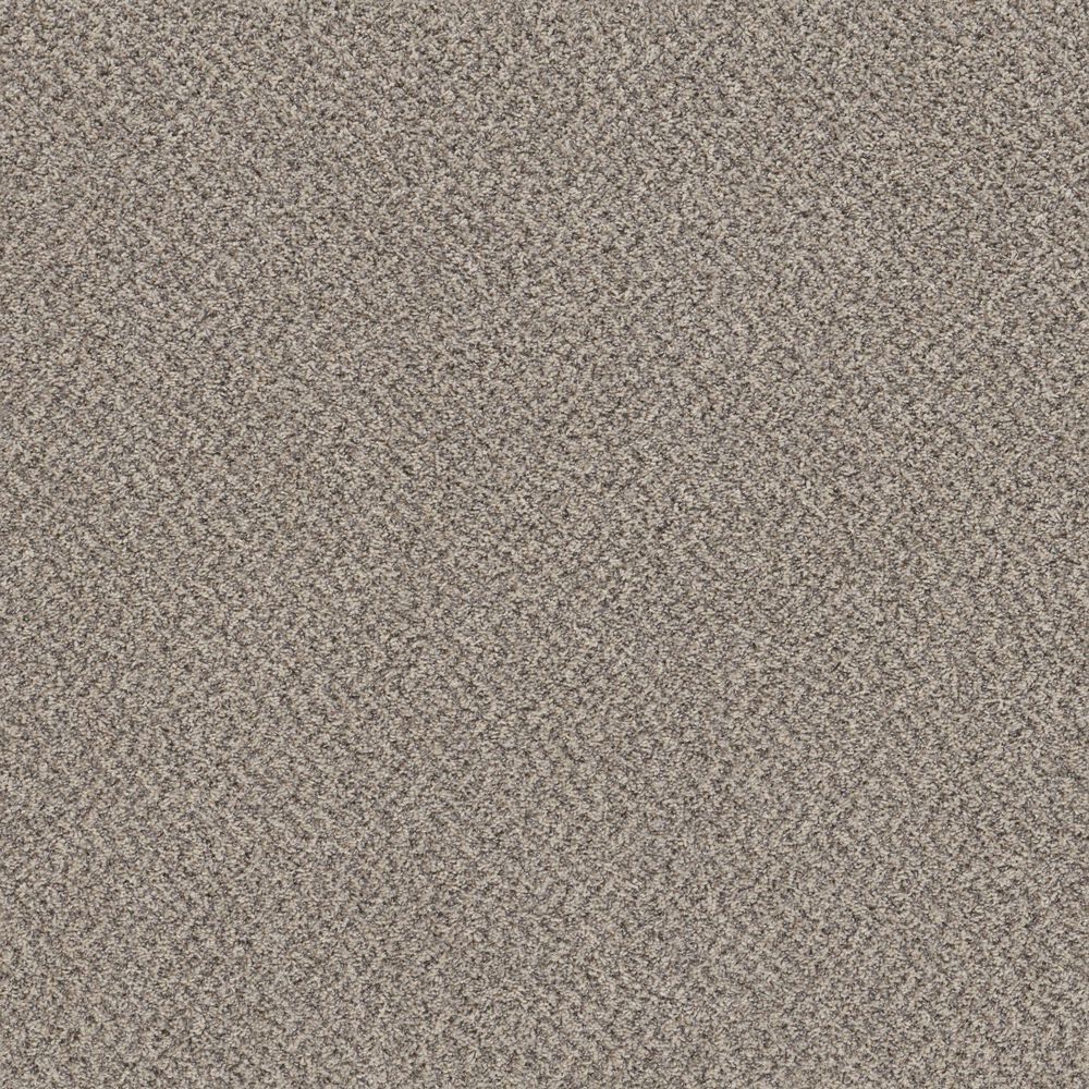 Shaw Mixed Essentials Carpet in Dove Feather, , large