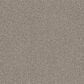 Shaw Mixed Essentials Carpet in Dove Feather, , large
