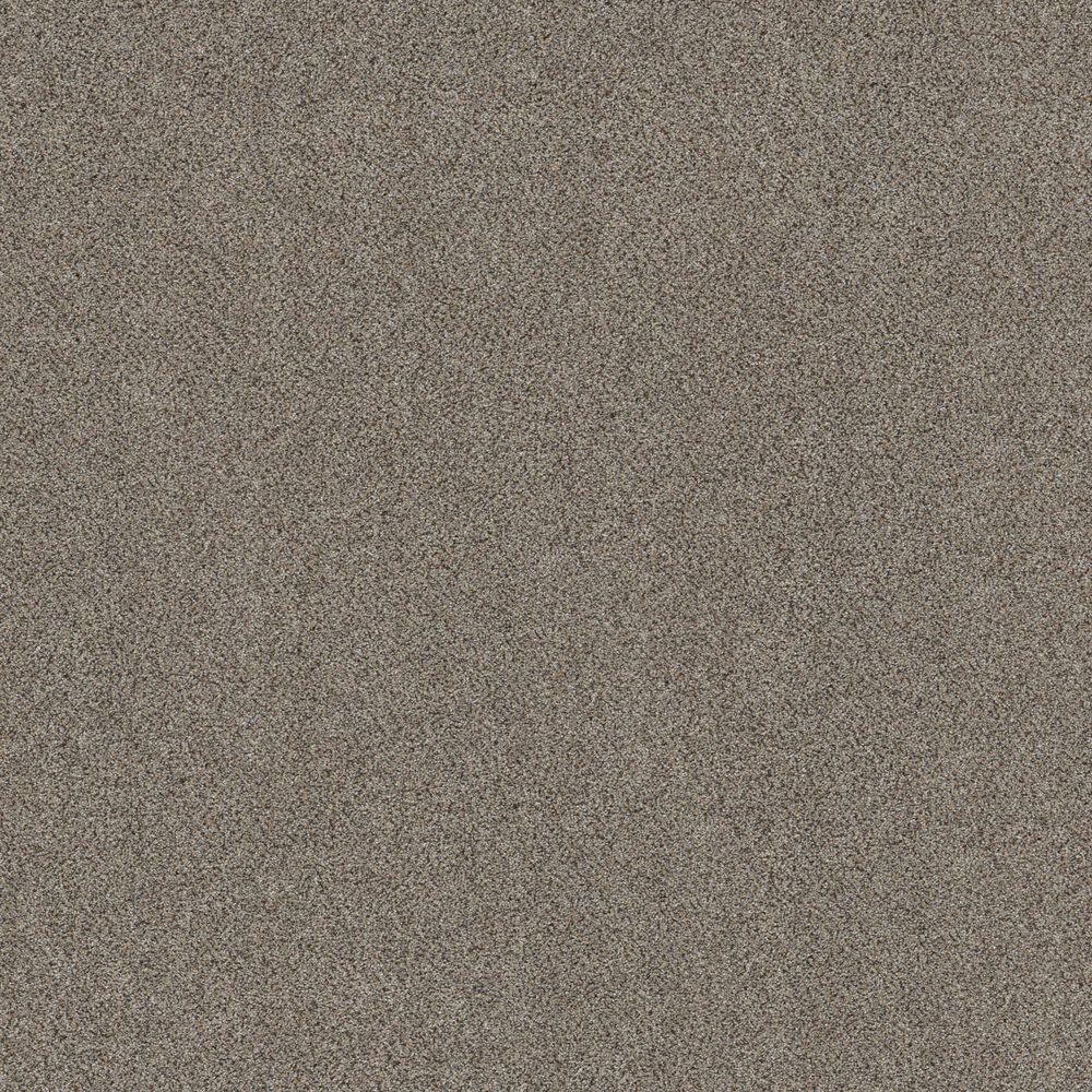 Shaw Game Changing II Carpet in Cliffside, , large