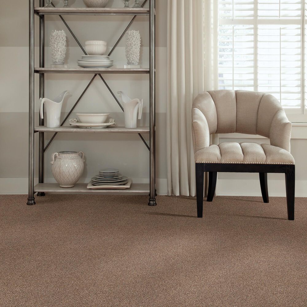 Shaw Foundations Take The Floor Accent I Carpet in Baltic Brown, , large