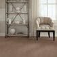 Shaw Foundations Take The Floor Accent I Carpet in Baltic Brown, , large