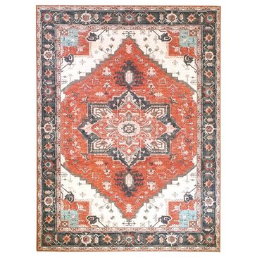 Amer Rugs Myra Dyanne 8"9" x 11"9" Red and Orange Area Rug, , large