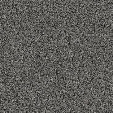 Dixie Home Herder Carpet in Border Collie, , large