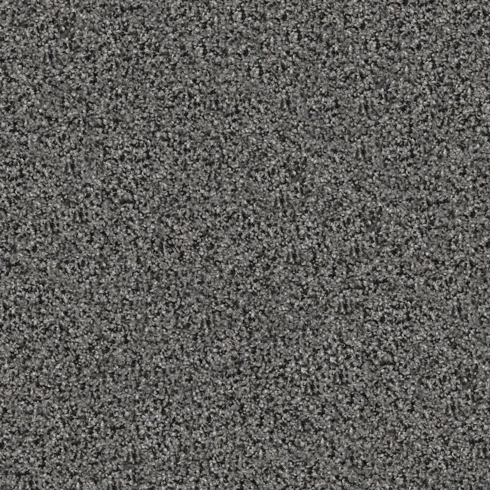 Dixie Home Herder Carpet in Border Collie, , large