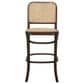 Timeless Designs Cleveland Counter Stool in Brown, , large